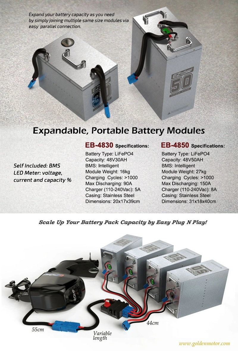 Portable Exandable LiFePO4 Lithium-Ion/Li-ion/Lithium Battery Module with BMS for EVs